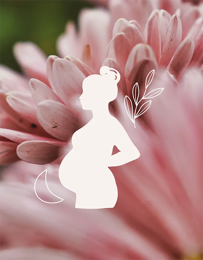 Illustration de femme enceinte sur fond photo de pétales de fleurs