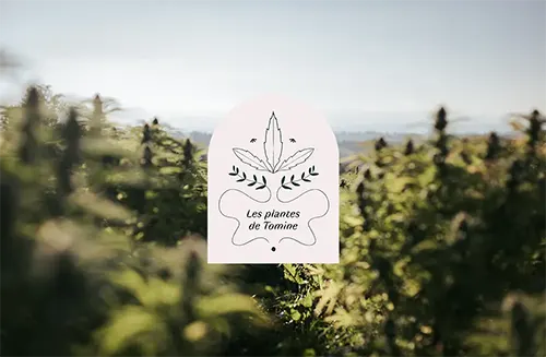 Marques de produits : comment savoir qu&rsquo;un rebranding est nécessaire ?