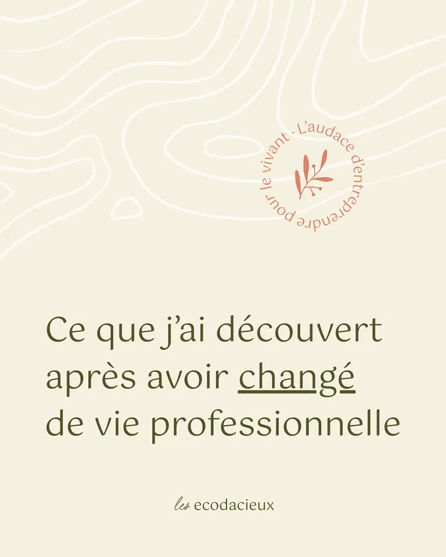 Identite-visuelle-Les-Ecodacieux-Lucie-Colin-2025-5