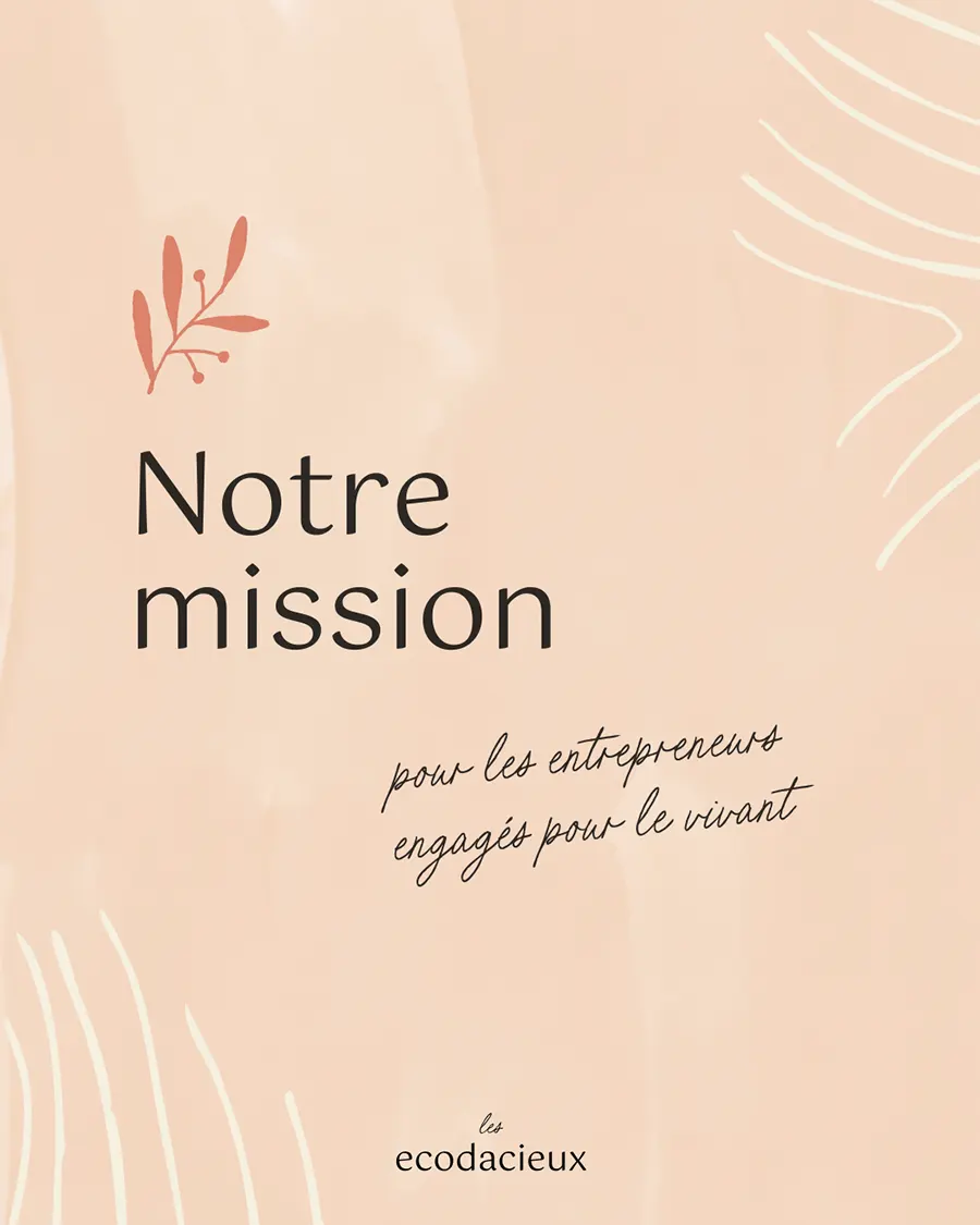 Identite-visuelle-Les-Ecodacieux-Lucie-Colin-2025-7