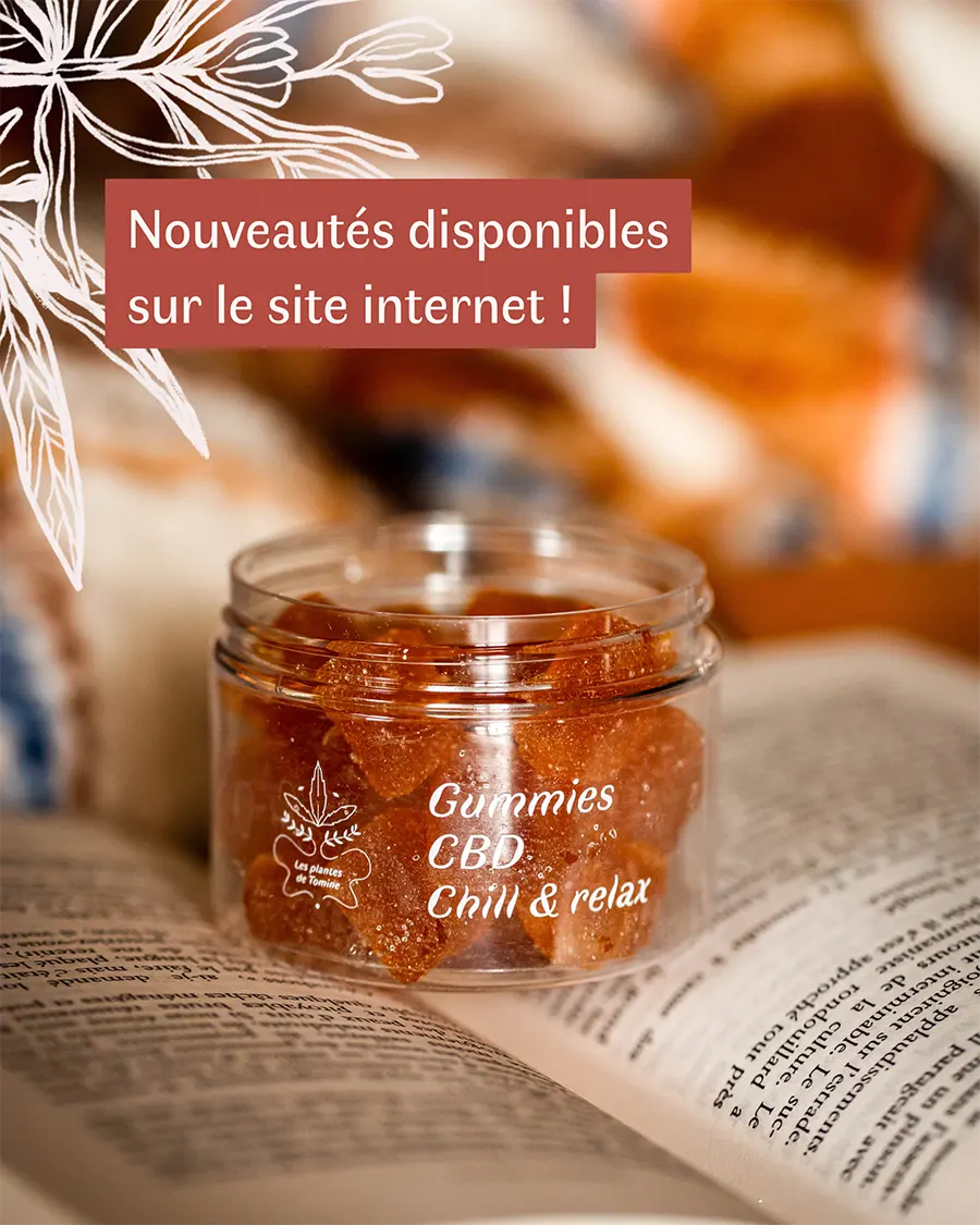 Les-Plantes-de-Tomine-identite-visuelle-Lucie-Colin-5 Logo Les Plantes de Tomines, photo par Cerize Photographe
