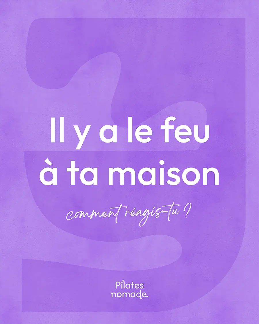 Logo les plantes de tomines marque de produits au CBD sur un sweat beige