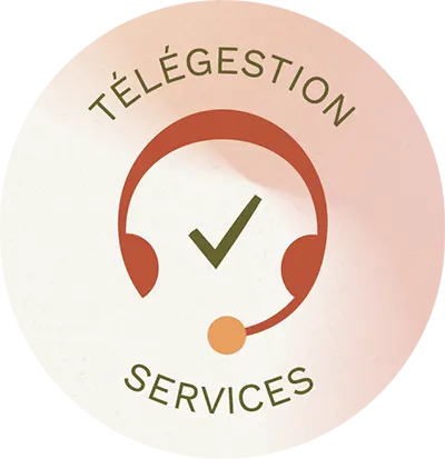 Telegestion Services