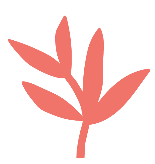 feuillePlan de travail 1
